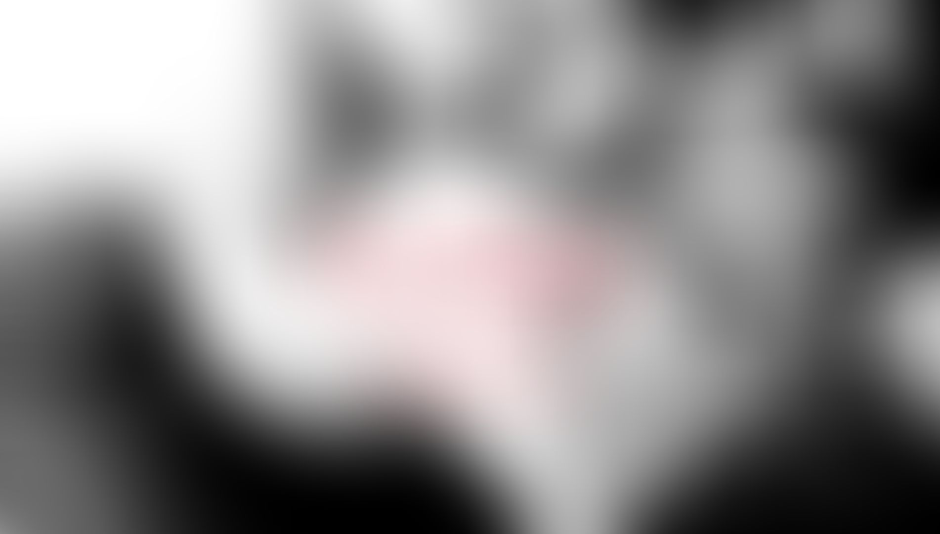 🔞 𝓖𝓵𝓲 𝓪𝓿𝓮𝓿𝓪 𝓼𝓾𝓼𝓼𝓾𝓻𝓪𝓽𝓪 𝓾𝓷 𝓝𝓸!
𝓜𝓪 𝓮𝓻𝓪 𝓲𝓷𝓾𝓽𝓲𝓵𝓮, 𝓵𝓾𝓲 𝓪𝓶𝓪𝓿𝓪 𝓼𝓮𝓷𝓽𝓲𝓻𝓵𝓪 𝓼𝓸𝓼𝓹𝓲𝓻𝓪𝓻𝓮 𝓶𝓮𝓷𝓽𝓻𝓮 𝓵𝓪 𝓲𝓼𝓽𝓲𝓰𝓪𝓿𝓪 𝓪 𝓽𝓲𝓻𝓪𝓻𝓮 𝓵𝓮 𝓬𝓪𝓽𝓮𝓷𝓮 ...

Video
Audio
